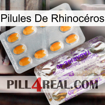 Pilules De Rhinocéros new12